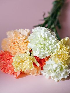 たっぷり10本お届けします。