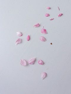 花びらや蕾は大変落ちやすいです。