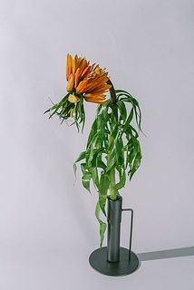 1本でもこの迫力!