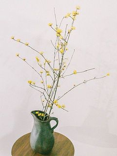 Calore（ブラック）