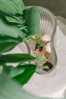 球根に浸からない程度の浅水で