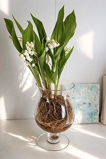 ドロップベースもお似合いです。