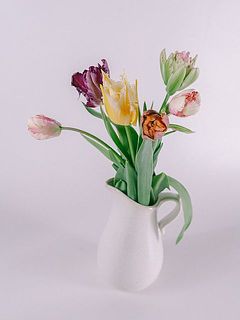 使用花器：Calore