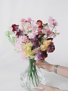 使用花器：ファゴット