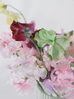 なかなか見かけない色のものも入ってるかも？