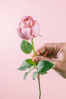 ロマンティックアンティーク