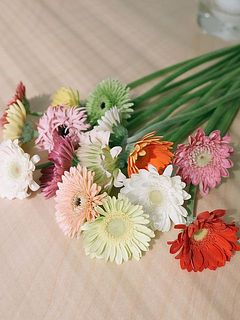 15本お届けします。届いたらすぐに深水にいれて数時間水あげをしましょう。首が上を向くよう紙できゅっと巻いてから、茎が8割くらい浸かるイメージで。水あげしたあとは、浅水に活けて飾ってください。