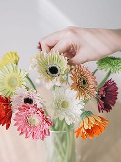 一重咲き、ポンポン咲き、スパイダー咲き、カール咲き、つぼみなど多彩な種類。日照や水分量の管理を自動化し、徹底した品質を保っています。