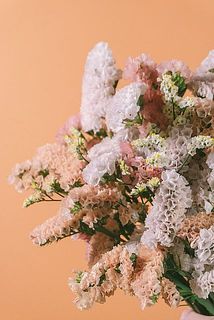 色味のバランスは、画像とは異なる場合がございます。