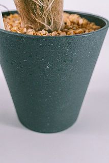 一部、鉢に汚れがある場合がございます。