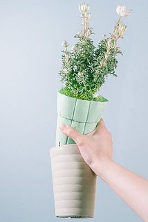 鉢カバーに入っています。