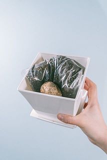 はじめての方でも気軽に栽培を楽しめます🔰