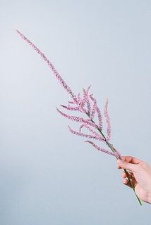 個体差がございます。