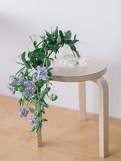 花器Duckとの相性抜群。スツールや棚などちょっと高さのある場所に飾ってみて。