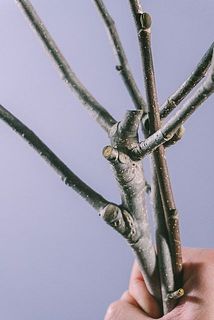 一部、選定している場合がございます。