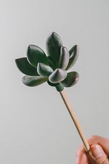 一部欠けている場合がございます。