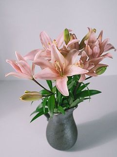 使用花器 Calore（ブラック）※別売り