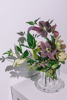 お届け一例　使用花器：duck（クリア）