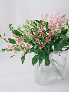 5本でなんと、このボリューム！