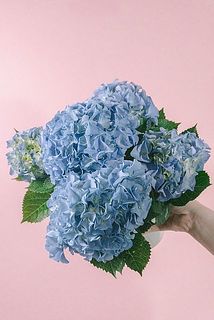 色味には個体差がございます。