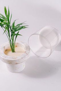 容器も取り外し簡単！