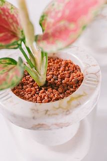 化粧砂を被せてお洒落に。