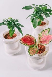 どれが届くかな😍