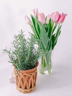 別々に使ってもかわいい！