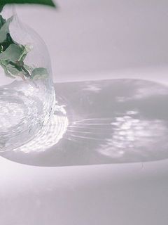 影まで美しい✨