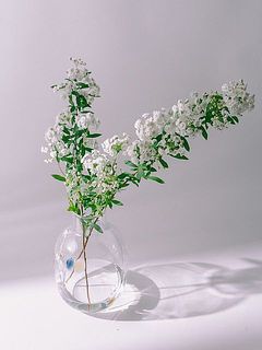 お花やグリーンのおすすめの長さは30〜45cmほど。