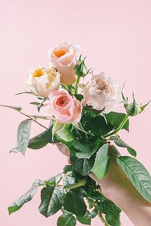 組み合わせはおまかせになります。