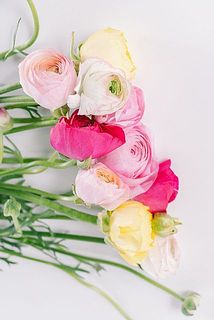 色とりどりのラナンキュラス