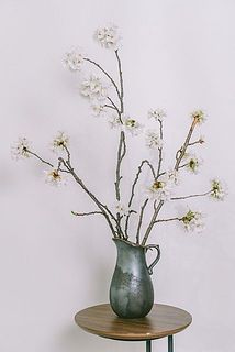 使用花器：Calore（ブラック）※別売り