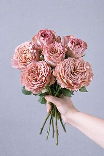 画像のバラは開花具合が異なるものを使用しています。