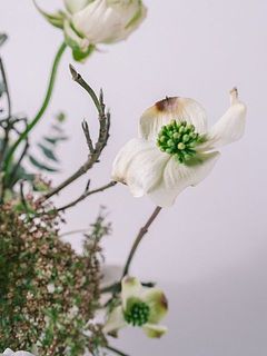 特性上花弁が変色しています