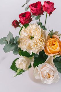 中には希少なバラも