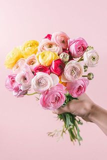 たっぷり20本！