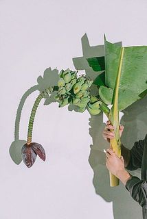 配送中に花粉が落ちる場合がございます。