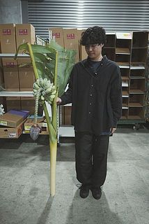 70cmほどにカットしてお届け。