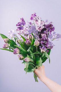 2束分合計のボリュームイメージ。