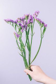 色はMIXでお届けします。