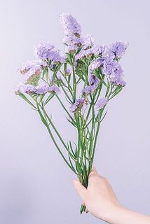 花付きには個体差がございます。