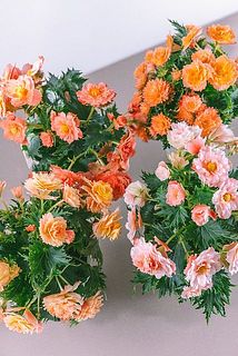 どれが届くかな😍