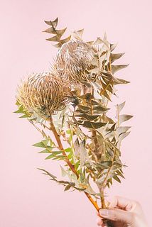 ドライになった状態でお届けする場合がございます。