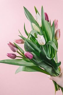 たっぷり10本お届け。