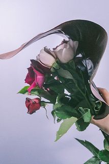 フィロデンドロンはしならせて発送します。