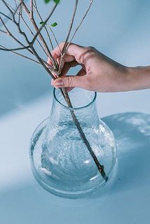 口径は7.5cmほど。