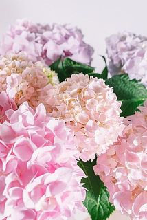 グラデーションがかわいい🥰