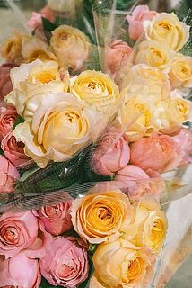 レア❀専用❀　2450円 バラ　苗　切り花品種　スミ flower-net_z251124006
