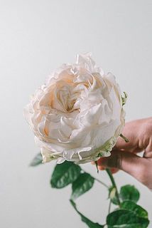 ふりふりで可愛い🥰